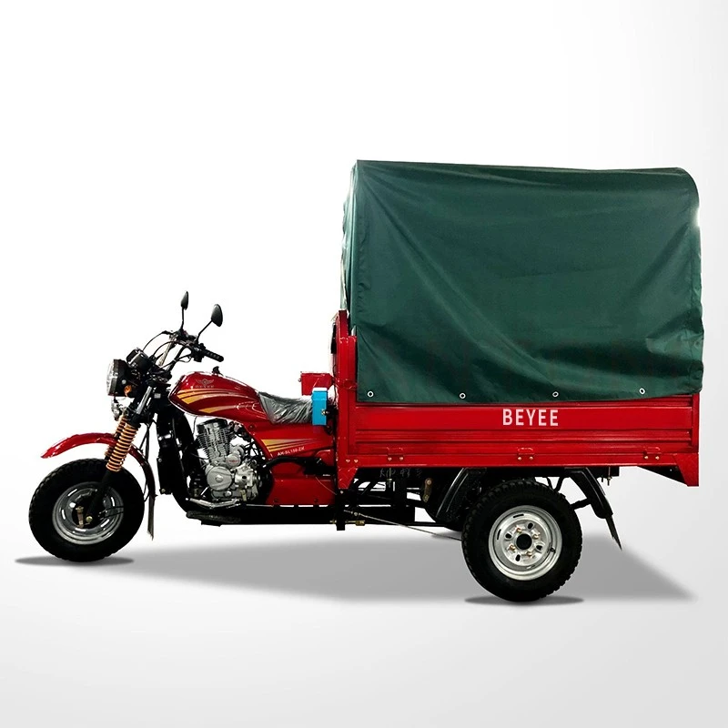 150cc petrol cargo tricycle2